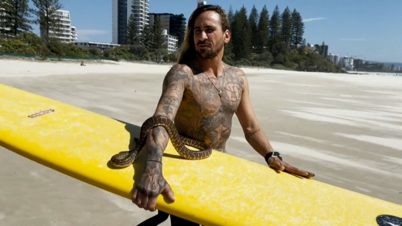 Австралия: Змея, занимающаяся серфингом, привела к неприятностям с властями по охране дикой природы у владельца домашнего животного