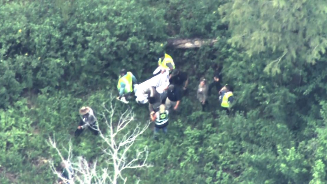 Aerial footage of FWC personnel on the scene shows them removing the bear.