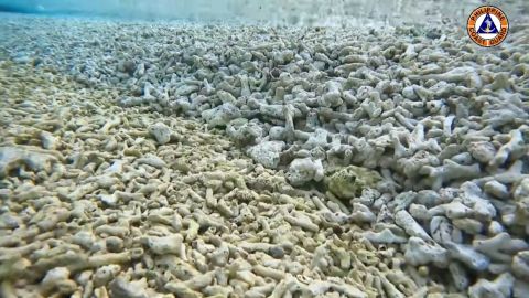 The Philippine Coast Guard released video exposing the severe damage on marine environment and coral reef in the seabed of Rozul Reef and Escoda Shoal in the South China Sea.
