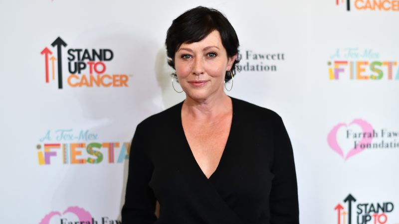 NextImg:Shannen Doherty, in fight for her life with cancer, gets standing ovation at 90s Con | CNN