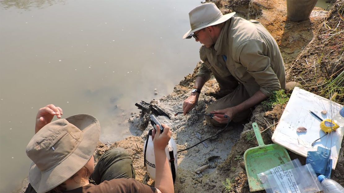 Professor Larry Barham (pictured, right) uncovering the wooden structure on the banks of the river with a fine spray