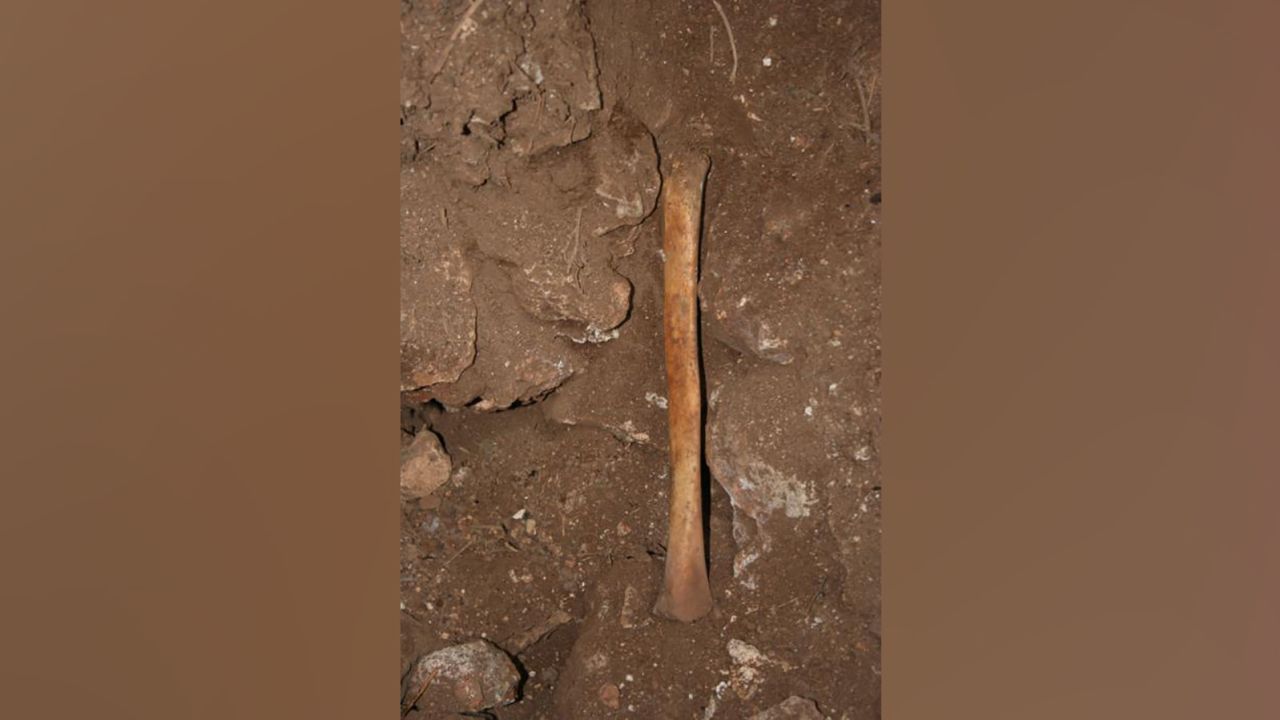 Човешка кост, намерена в пещерата. 