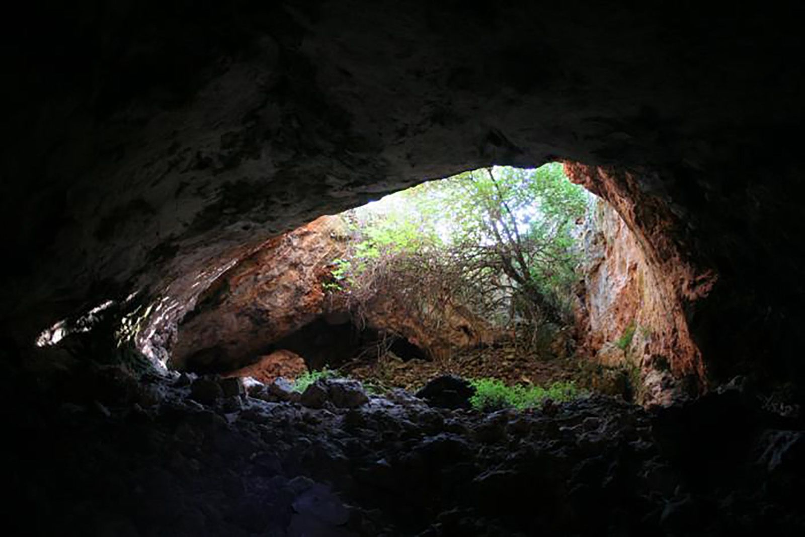 Digging up bones -- Archeologists discover human remains > U.S. Air Forces  in Europe & Air Forces Africa > Article Display