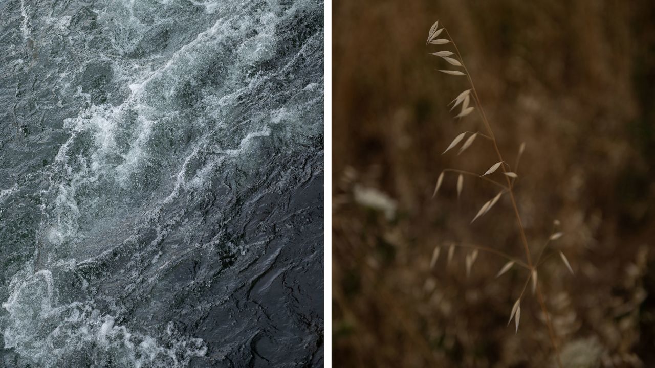 Left: Water flows in the North Umpqua River. Right: Native vegetation is seen along the river.