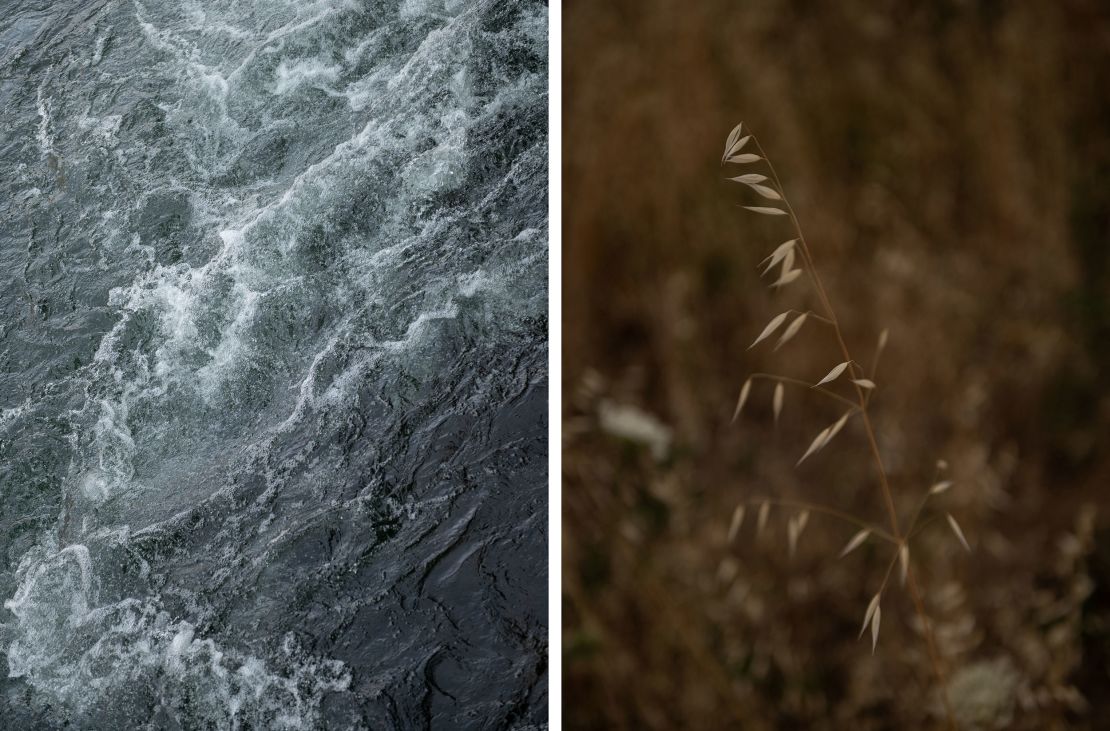 Left: Water flows in the North Umpqua River. Right: Native vegetation is seen along the river.