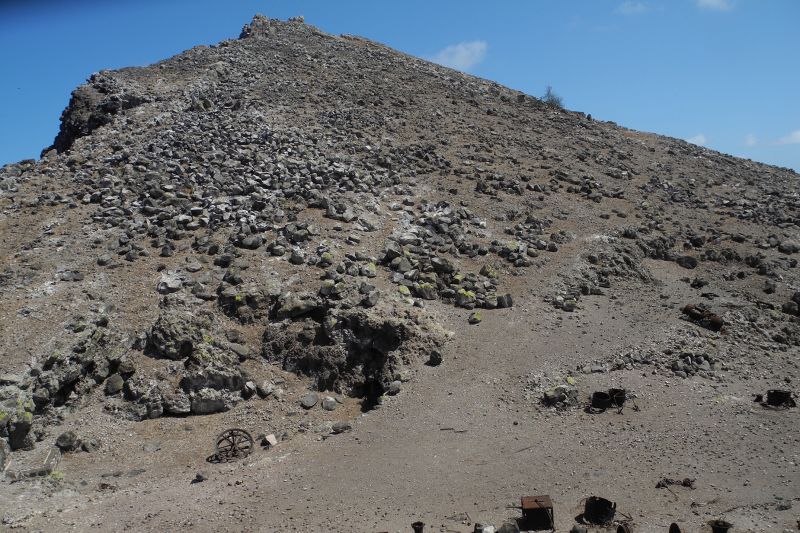 From Rat Ruler to Enchanting Wildlife Paradise: Unveiling the Stunning Transformation of a Caribbean Island