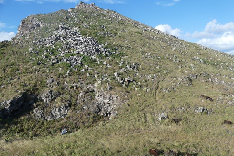 From Rat Ruler to Enchanting Wildlife Paradise: Unveiling the Stunning Transformation of a Caribbean Island