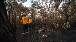 This picture taken on September 15, 2023 shows New South Wales Rural Fire Service volunteers Mark Davis (R) and Andy Hain inspecting bushland after a hazard reduction burn at Hilltop, located south of Sydney. Australian firefighters are preparing what they predict will be the fiercest fire season since the monster "Black Summer" blazes of 2019-2020. However, some warn that these brave volunteers may one day be unable to cope if global warming leads to raging fires, storms, and floods of ever-increasing intensity. (Photo by ANDREW LEESON / AFP) / To go with AFP story Australia-environment-climate-fire,FOCUS by Sharon Marris and Andrew Leeson (Photo by ANDREW LEESON/AFP via Getty Images)