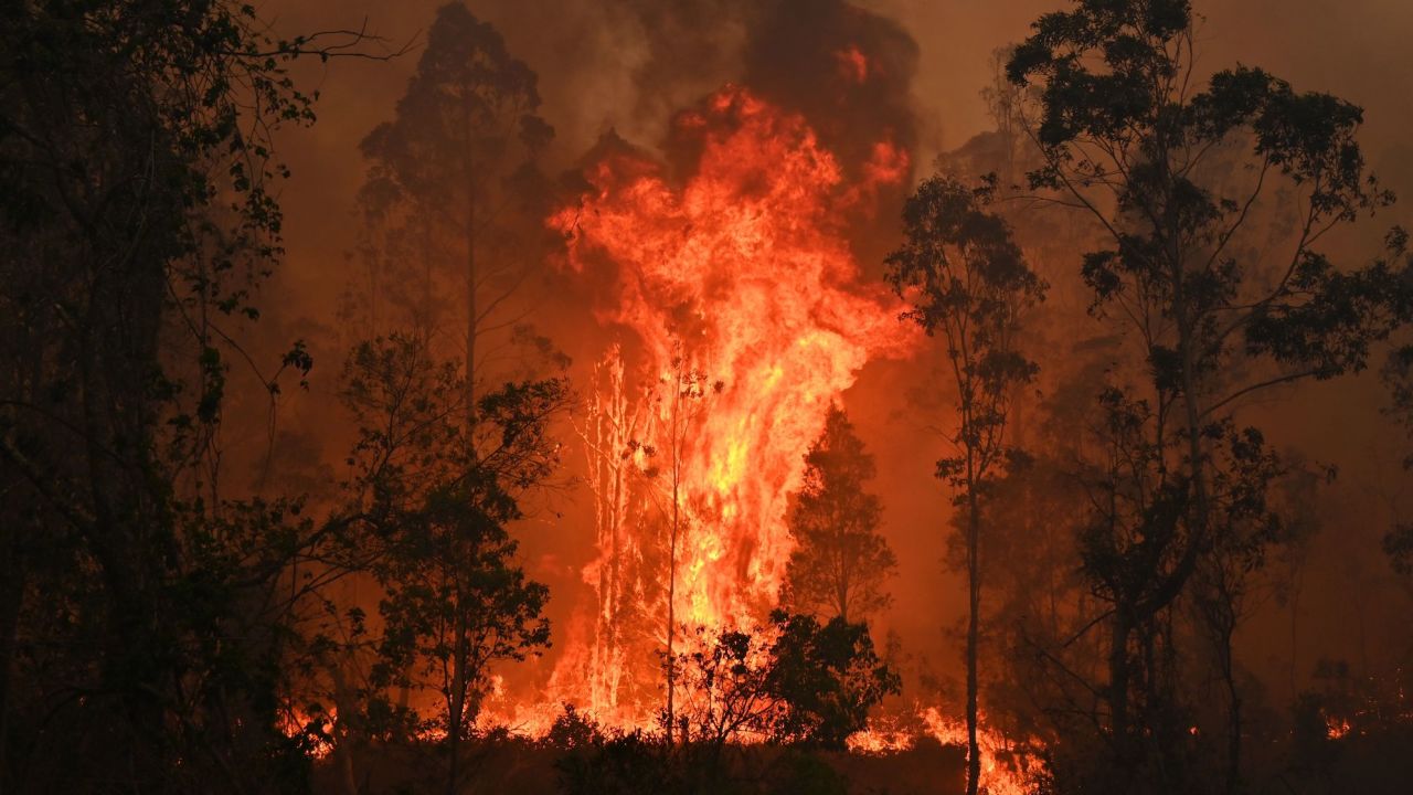A fire rages in Bobin, 350 km north of Sydney, on November 9, 2019, during Australia's catastrophic Black Summer fire season. 