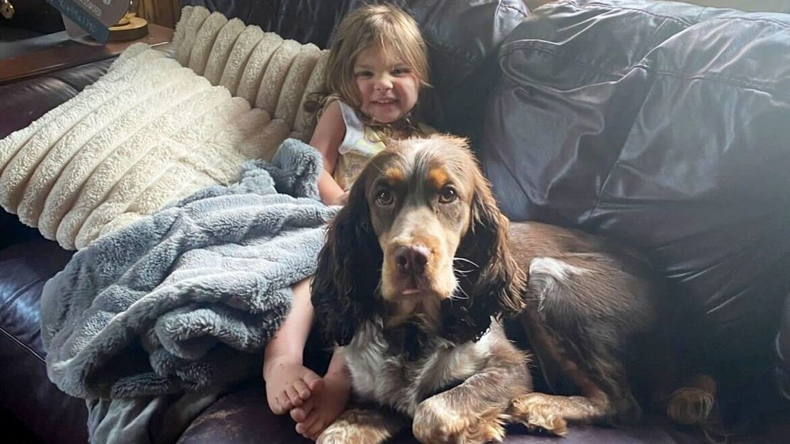 Dog And Garl Xn Xxx Vidios - Missing Michigan toddler found in the woods asleep on family dog | CNN