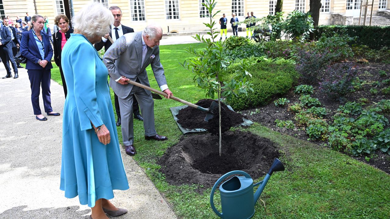 The King and Queen plant a tree at the town hall in Bordeaux on Friday. 