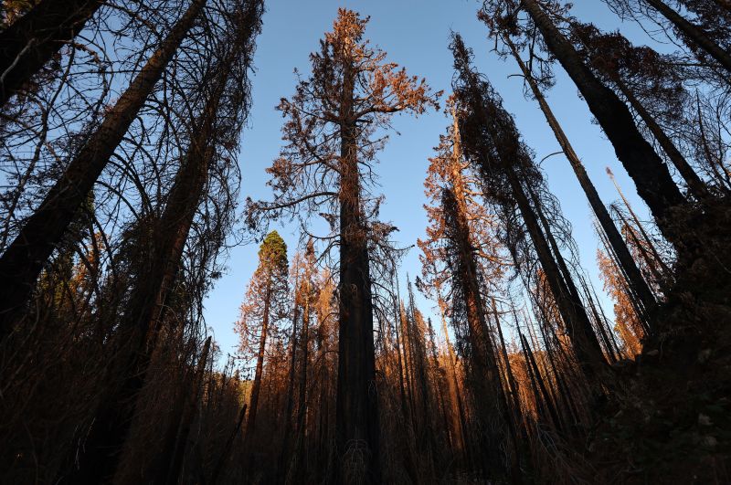 Opinion: Biden's American Climate Corps could be the lasting