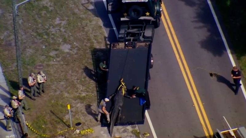 41-годишна жена е открита мъртва, след като алигатор във Флорида е забелязан с тяло в устата