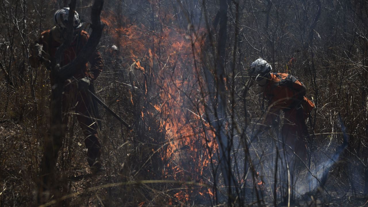Firefighters battle a fire in the Serra do Coco forest area in Riachão das Neves, Bahia state, Brazil on September 22. 
