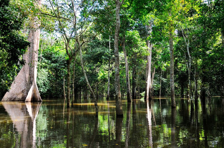 <strong>The Amazon network: </strong>The Amazon is not one singular stretch of water, but rather part of a greater "river system" spanning much of northern South America. Its network includes multiple sources and tributaries. 