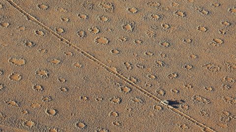 Mandatory Credit: Photo by Thomas Dressler/imageBROKER/Shutterstock (5512321a)
A vehicle of the balloon ground crew crosses a sandy plain with so-called Fairy Circles at the edge of the Namib Desert, photographed from a hot-air balloon, NamibRand Nature Reserve, Namibia
VARIOUS