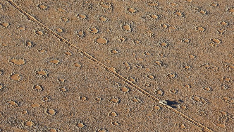 „Cercuri de zâne” misterioase din Namibia și Australia nu sunt atât de rare până la urmă, spune studiul