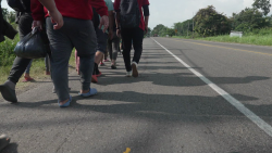 mexico migrants dodge checkpoint walk talk culver_00004605.png