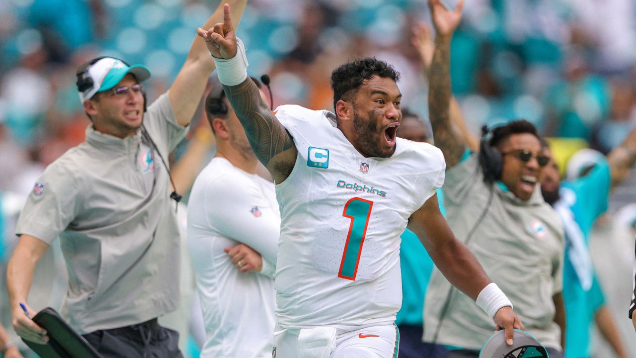 Miami Dolphins head to Germany for NFL's 2023 International Series - CBS  Miami