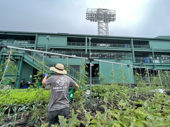 Produce grown locally in urban farms can reduce the emissions associated with transporting food. Fenway Farms is a 5,000-square-foot rooftop garden area that sits atop Fenway Park, the home of the Boston Red Sox baseball team. It produces between 4,000 and 6,000 pounds of fresh produce a year, all organic, and could inspire more cities to devote more unused spaces to urban farming.