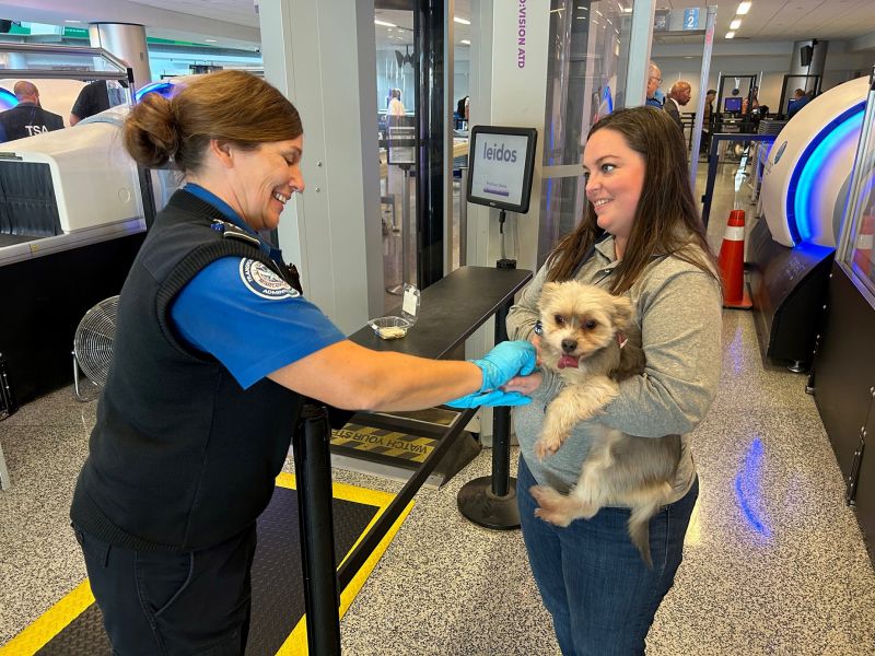 Pet store airport transportation