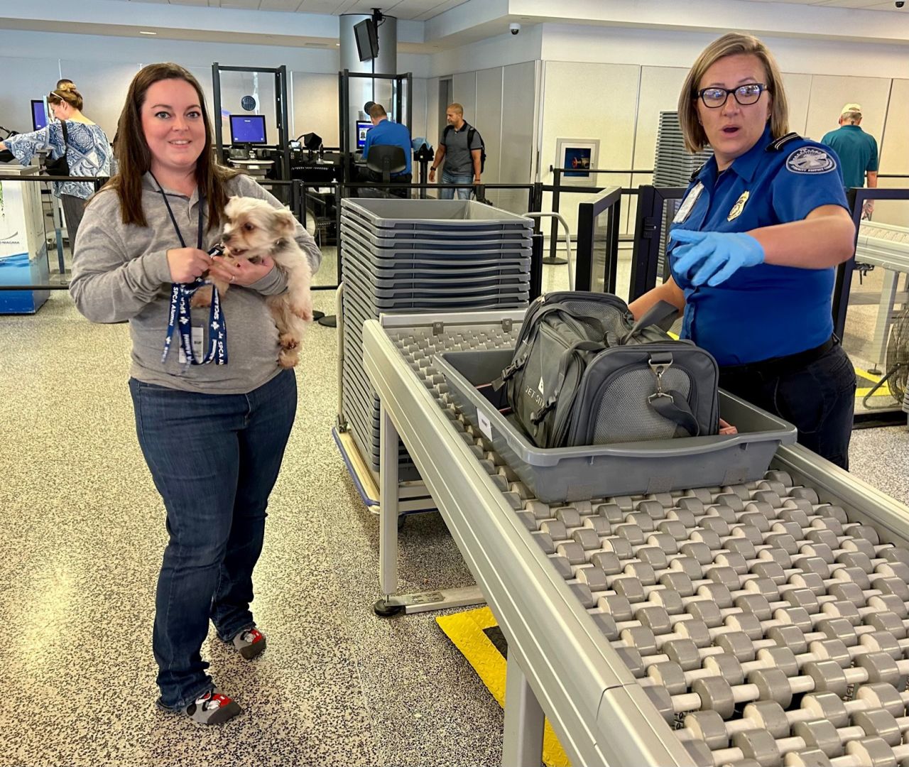 TSA officer performing pet screening demo at Buffalo Niagara International Airport on Sept. 27.
