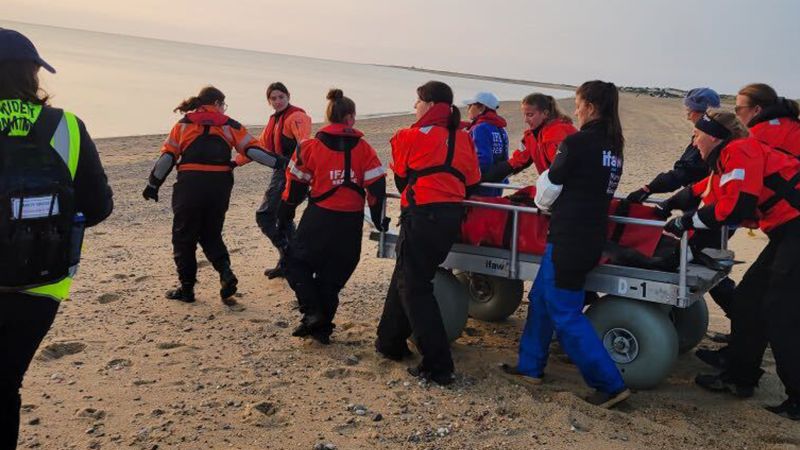 NextImg:Experts rescue and release 2 dolphins in dangerously shallow waters off of Cape Cod | CNN