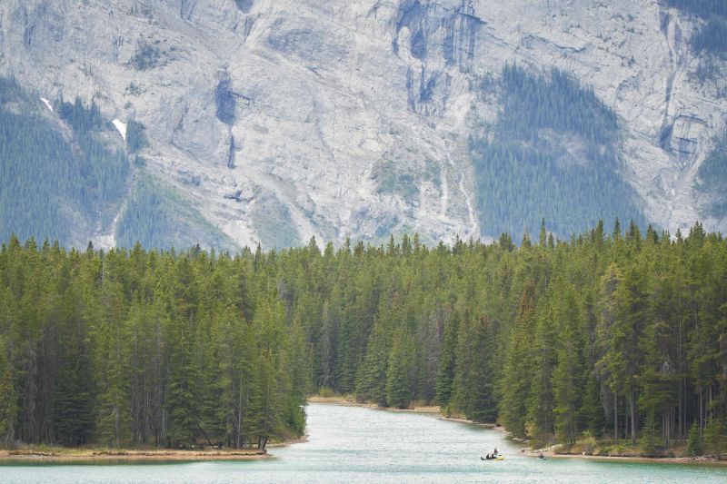 2 killed in suspected grizzly bear attack in Canada's Banff