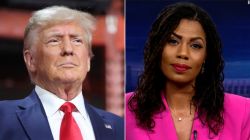 trump omarosa split