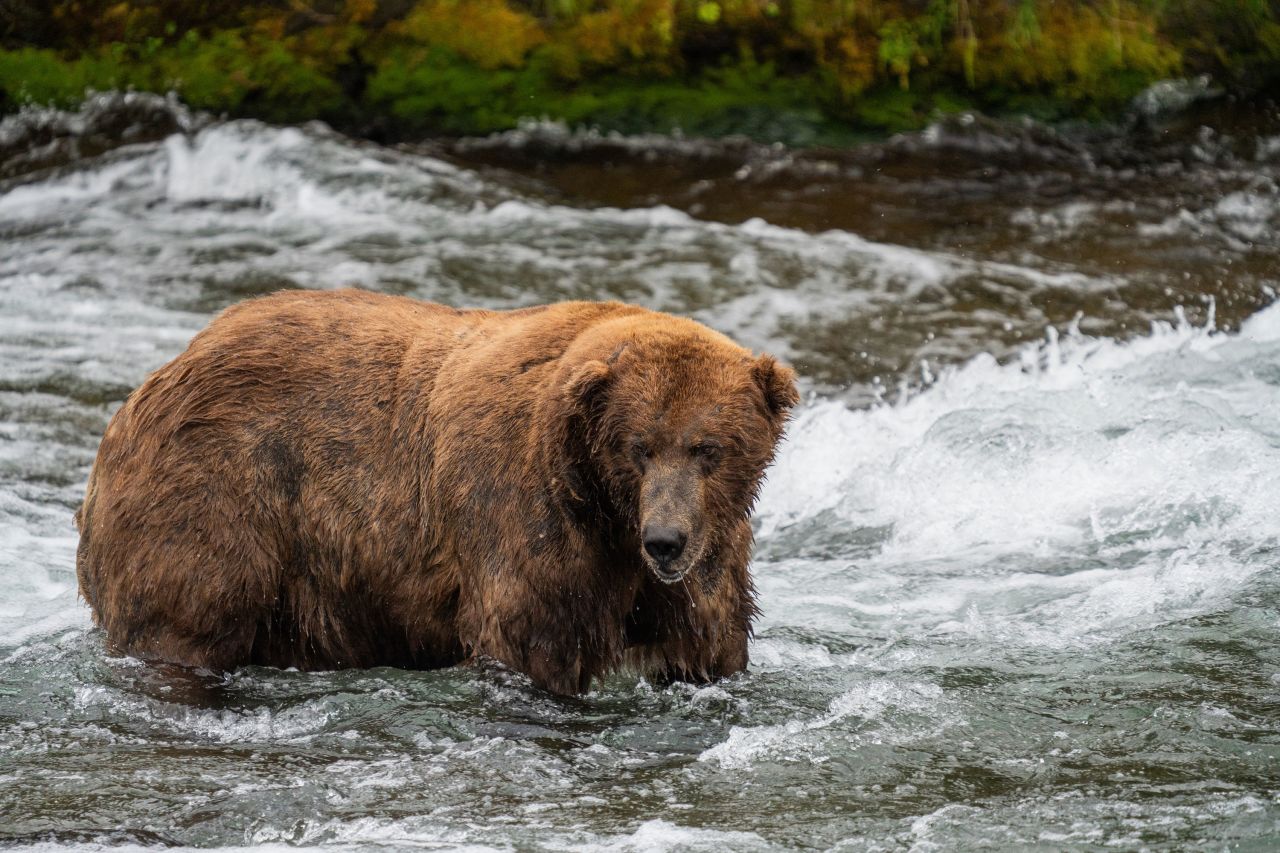 Bears start slowly, then show a little life - NBC Sports