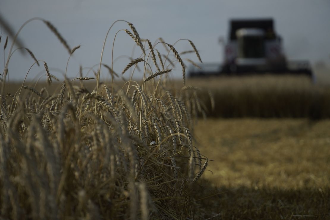 Farmers harvest wheat in the settlement of Nedvigovka in southern Russia in July. 