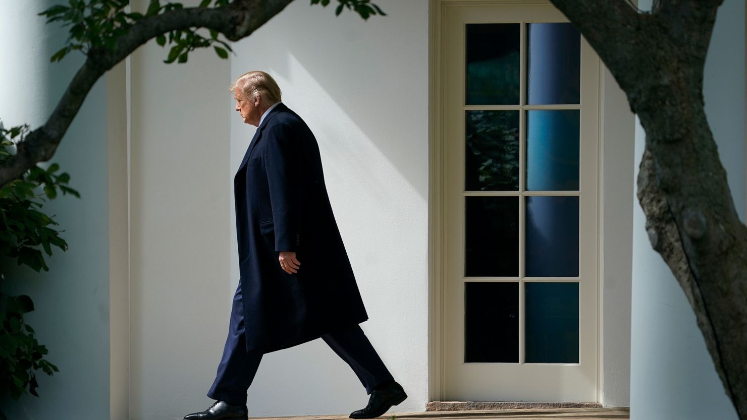 WATCH: Why does Trump's image appear under searches for 'idiot