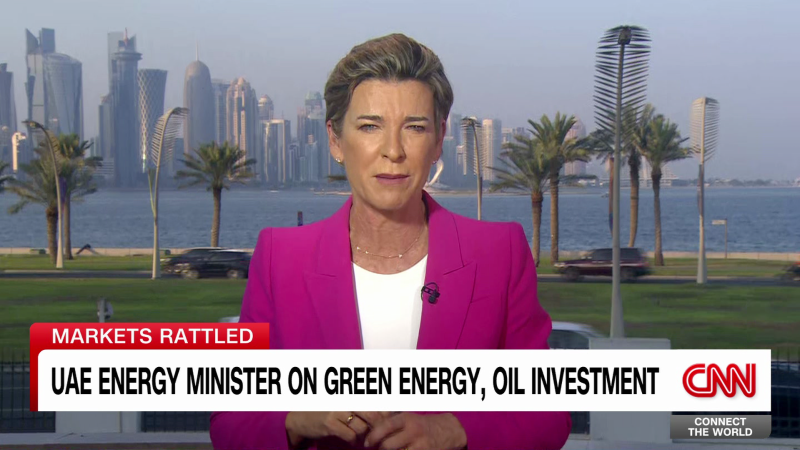 The UAE energy minister on green energy, oil and investment