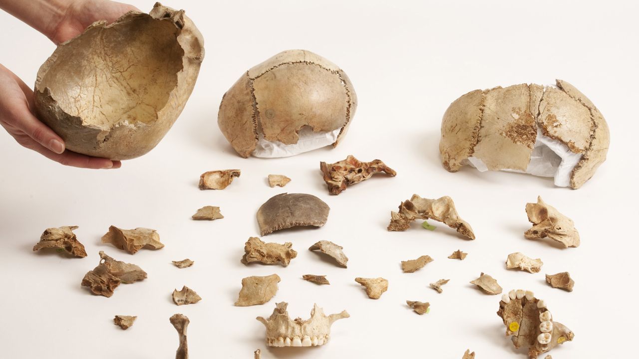 Researchers had previously found skull cups at Gough's Cave site in England.