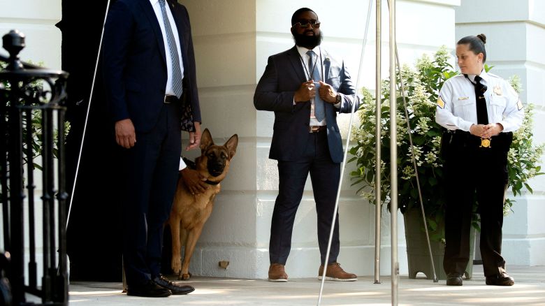 Commander, the dog of US President Joe Biden, watches as US President Joe Biden boards Marine One on the South Lawn of the White House in Washington, DC, on June 25, 2022, as he departs for Germany to attend the G-7 meeting. (Photo by Stefani Reynolds / AFP) (Photo by STEFANI REYNOLDS/AFP via Getty Images)