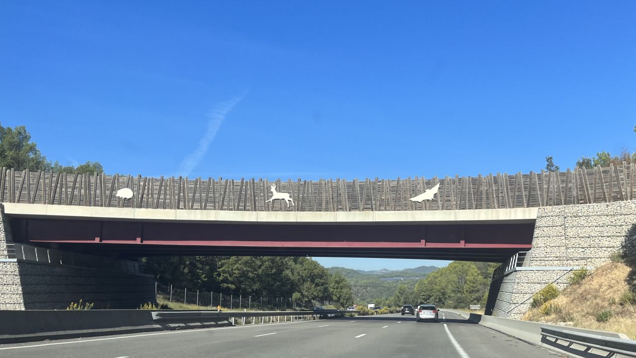 A wildlife overpass - 