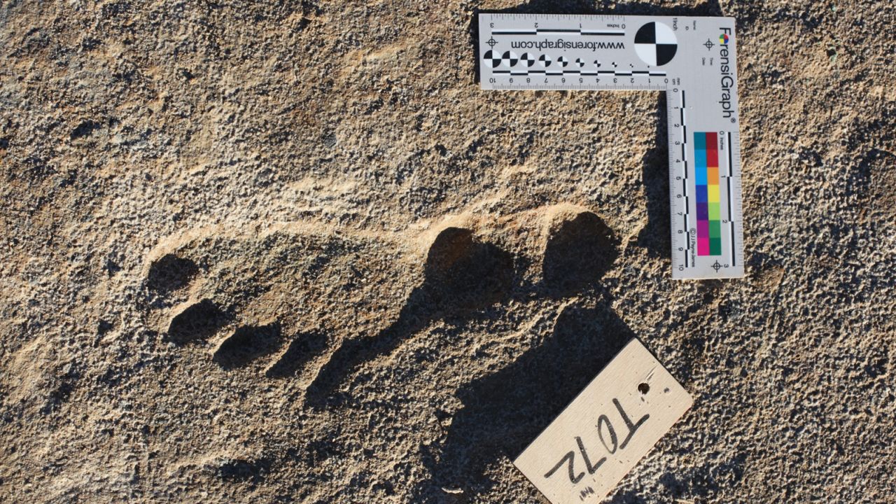 New research confirms age of ancient footprints