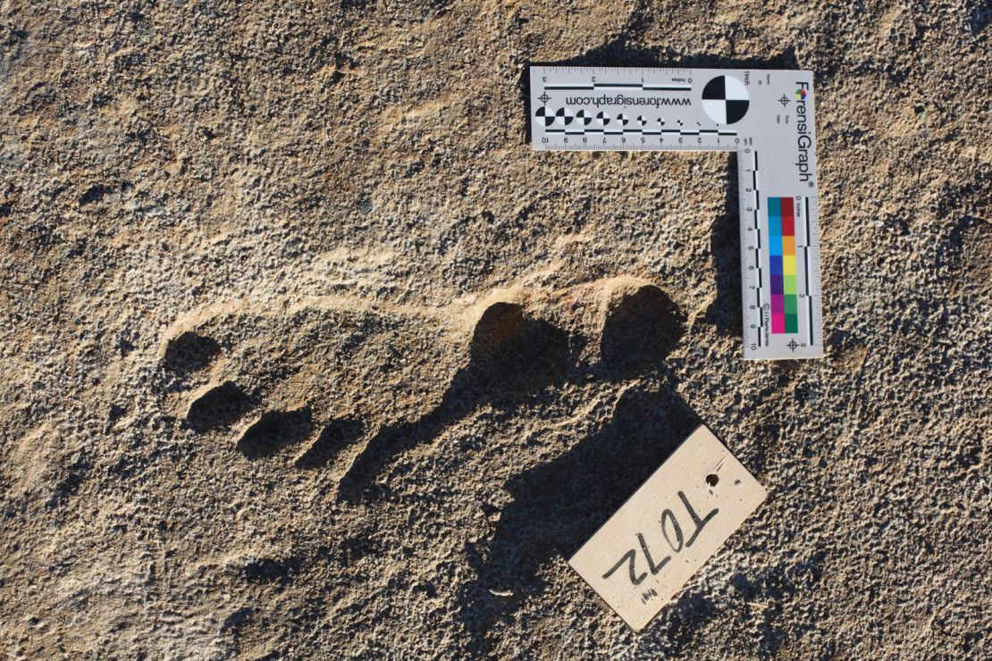 New research confirms age of ancient footprints