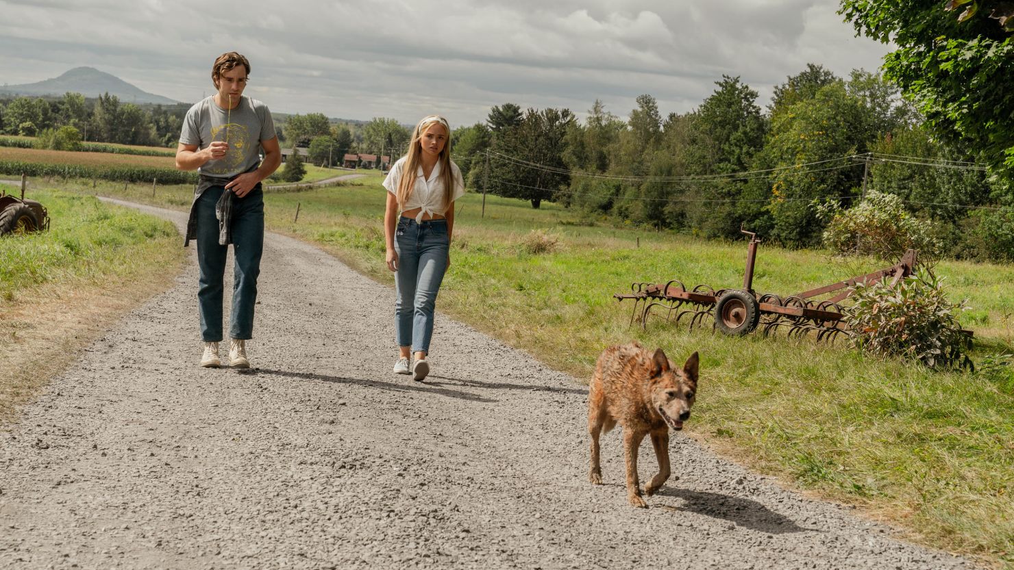 ‘Pet Sematary Bloodlines’ digs up part of Stephen King’s book and