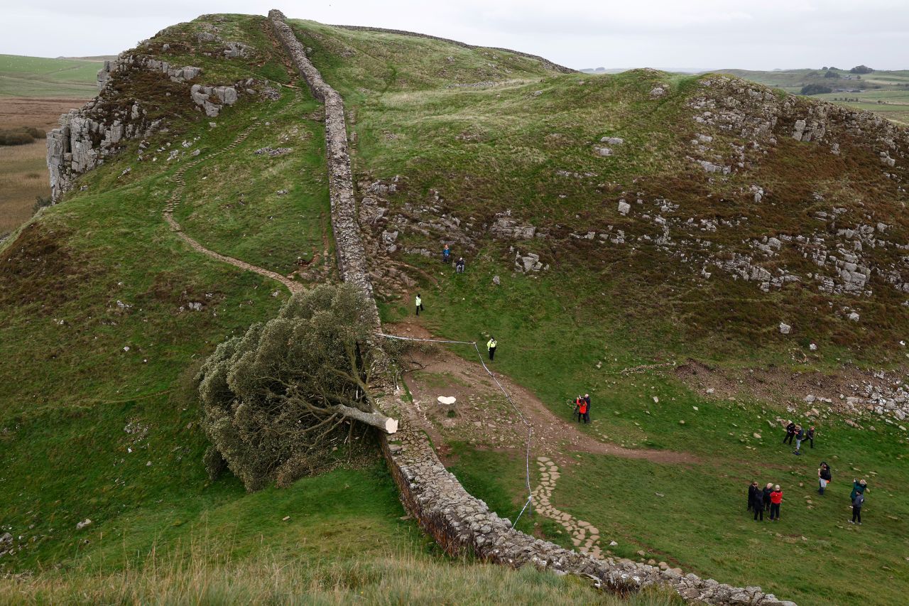 A famous sycamore tree that stood sentinel on Hadrian's Wall for more than 200 years lies on the ground in northern England's Northumberland National Park on Thursday, September 28. The tree, made famous to millions around the world when it appeared in Kevin Costner's 1991 film "Robin Hood: Prince Of Thieves," <a href="https://www.cnn.com/travel/sycamore-gap-tree-deliberately-felled-britain/index.html" target="_blank">was "deliberately felled"</a> in what authorities called an act of vandalism. Two people were arrested.