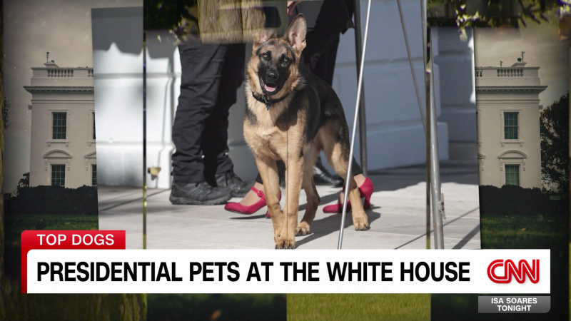 A look back at presidential pets at the White House | CNN