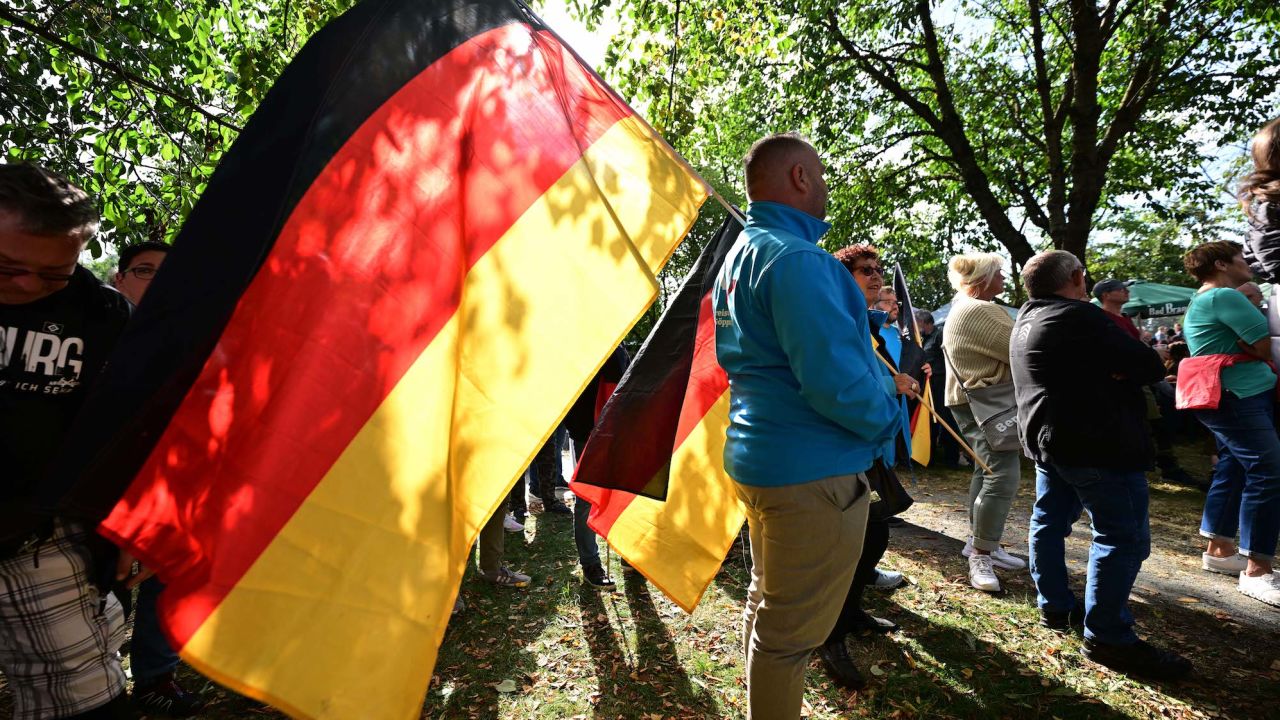 German flags are carried at an AfD election campaign event. 
