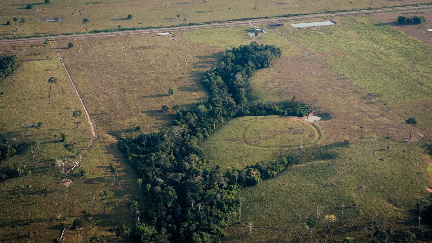 More than 10,000 pre-Columbian earthworks are still hidden throughout  ia