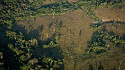 Earthwork on Amazonian landscape.
