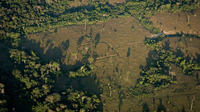 About 10,000 pre-Columbian earthworks are however concealed in the Amazon, review finds