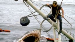 American actor Roy Scheider on the set of Jaws, directed by Steven Spielberg.