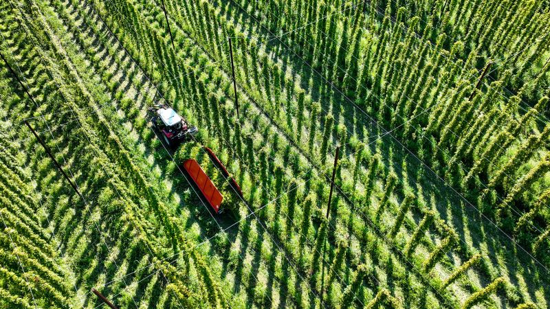 NextImg:The climate crisis is coming for your hoppy beer | CNN Business