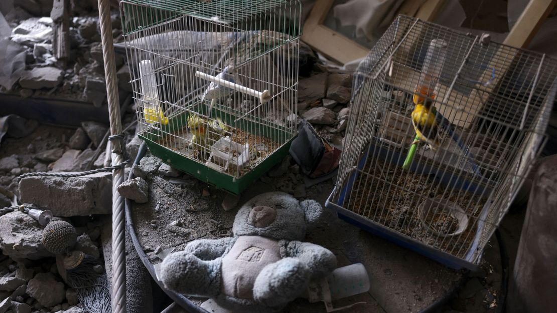 Caged birds that survived overnight Israeli shelling are seen in a damaged apartment in the city center of Khan Yunis, in the southern Gaza Strip on Tuesday.