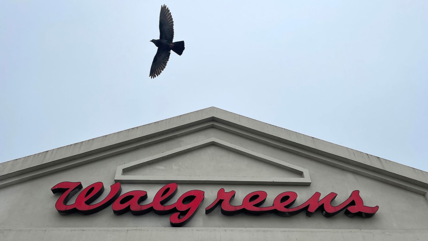 A bird flies by a sign posted on the exterior of a Walgreens store on March 09, 2023 in Richmond, California.