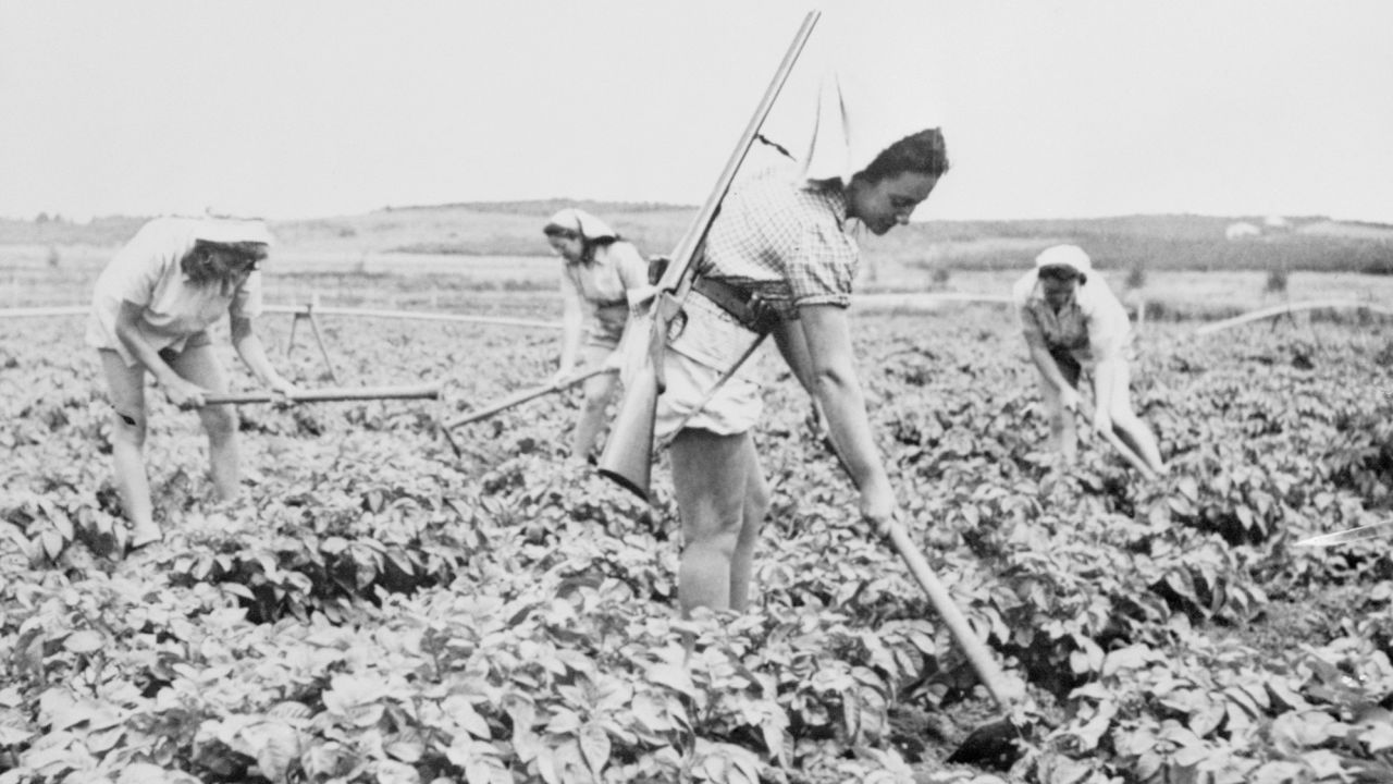 Women are seen farming in this undated photo at Deganya.